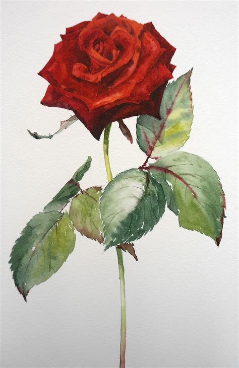 PaintedRose .